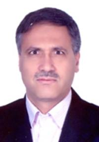 محمدرضا زارعی